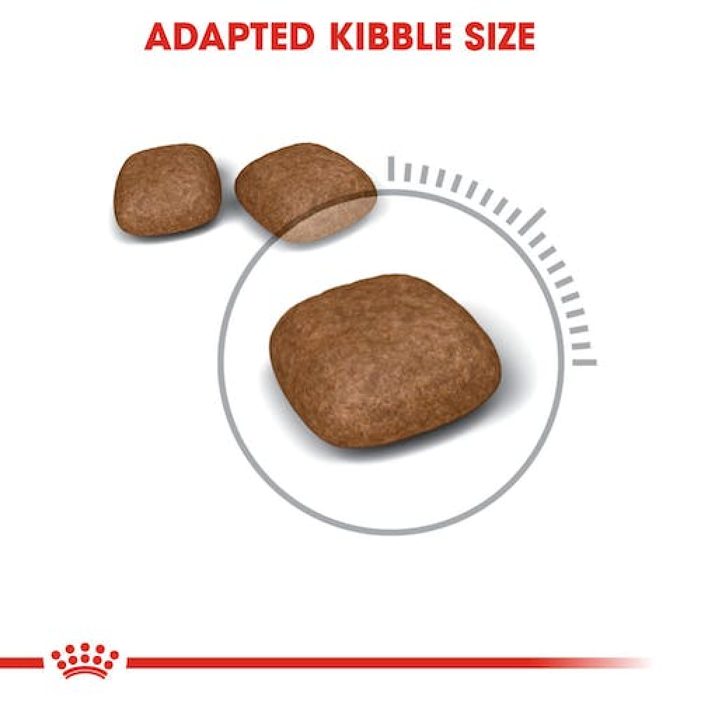 Royal Canin Urinary Care for Adult Cats