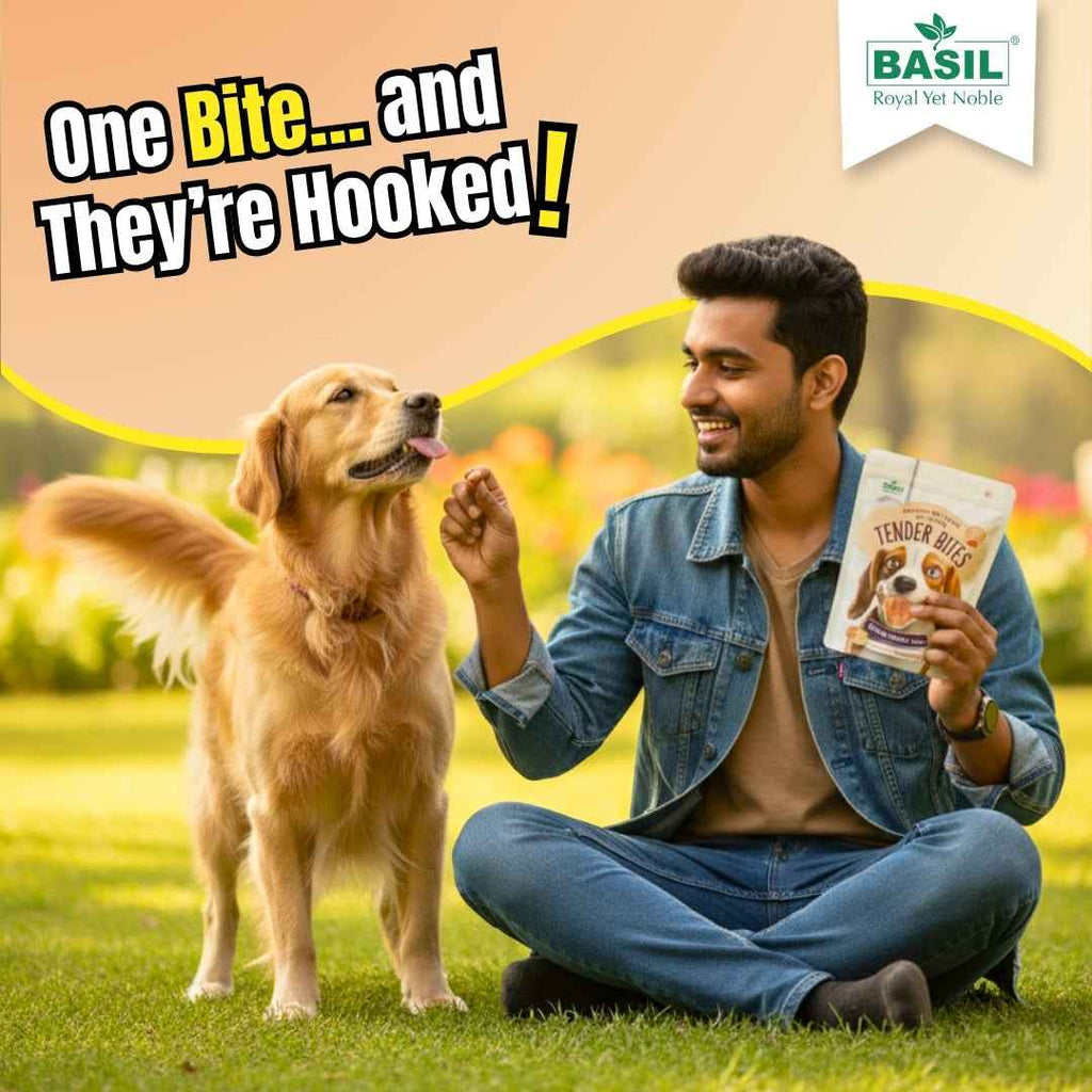BASIL TENDER BITES Rice in Chicken Strips – Healthy & Soft Dog Treat | 70g Pack | High Protein, Gluten-Free, Training & Reward Snack for All Breeds