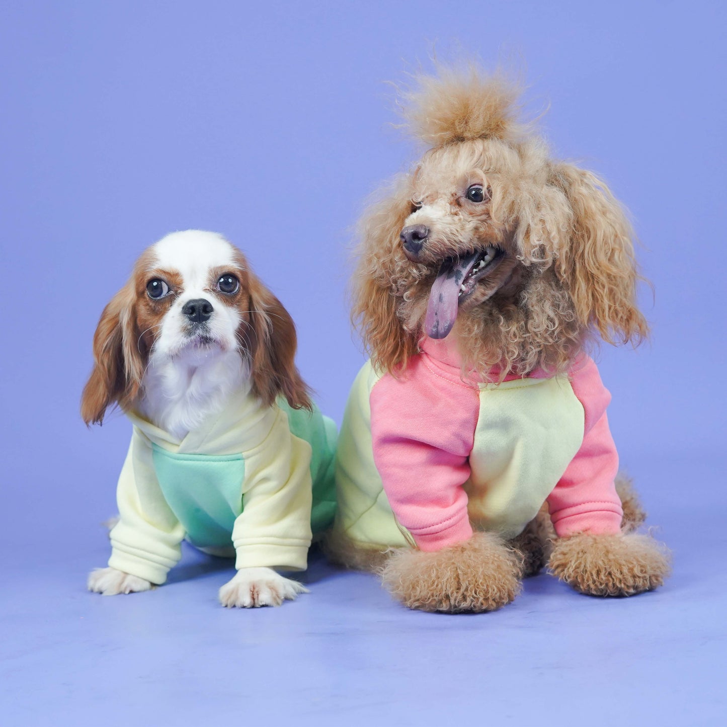 Icy Peak SweatShirt -Mint