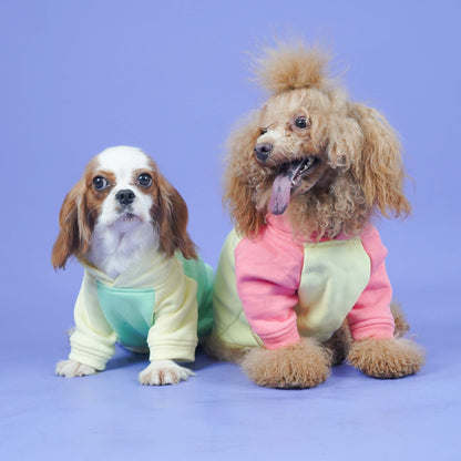 Icy Peak SweatShirt -Mint