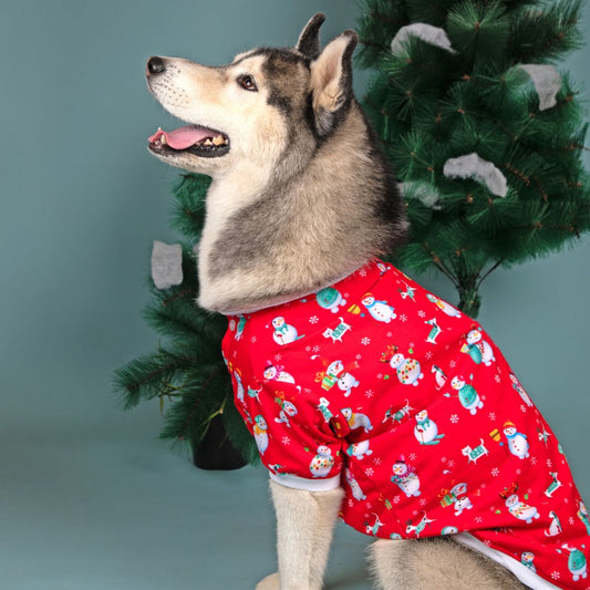 Santa Party Sweatshirt