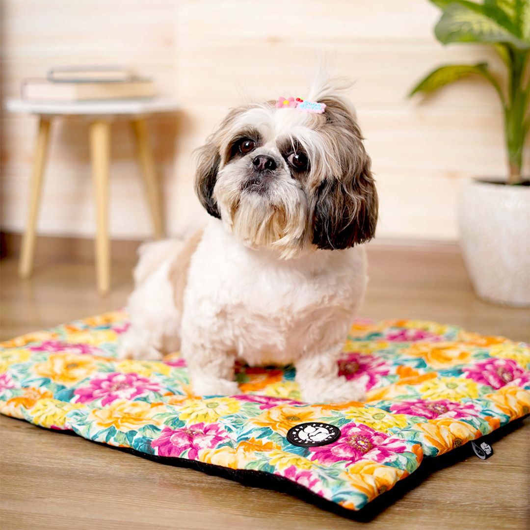 Spring Mat – Stylish & Comfortable Pet Mat