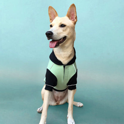 Snow Flake Dog Sweatshirt