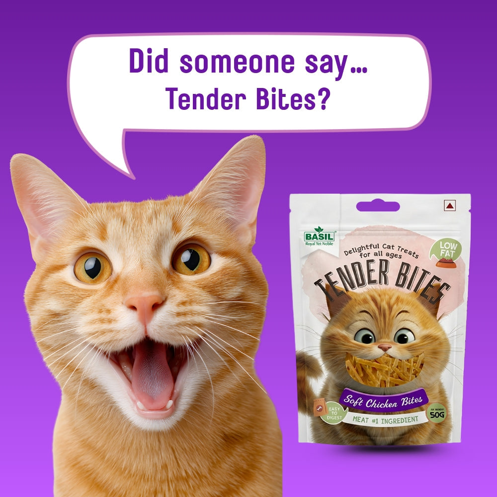 Basil Soft Chicken Bites for Cats | Grain-Free Tender Treats | High Protein Snack