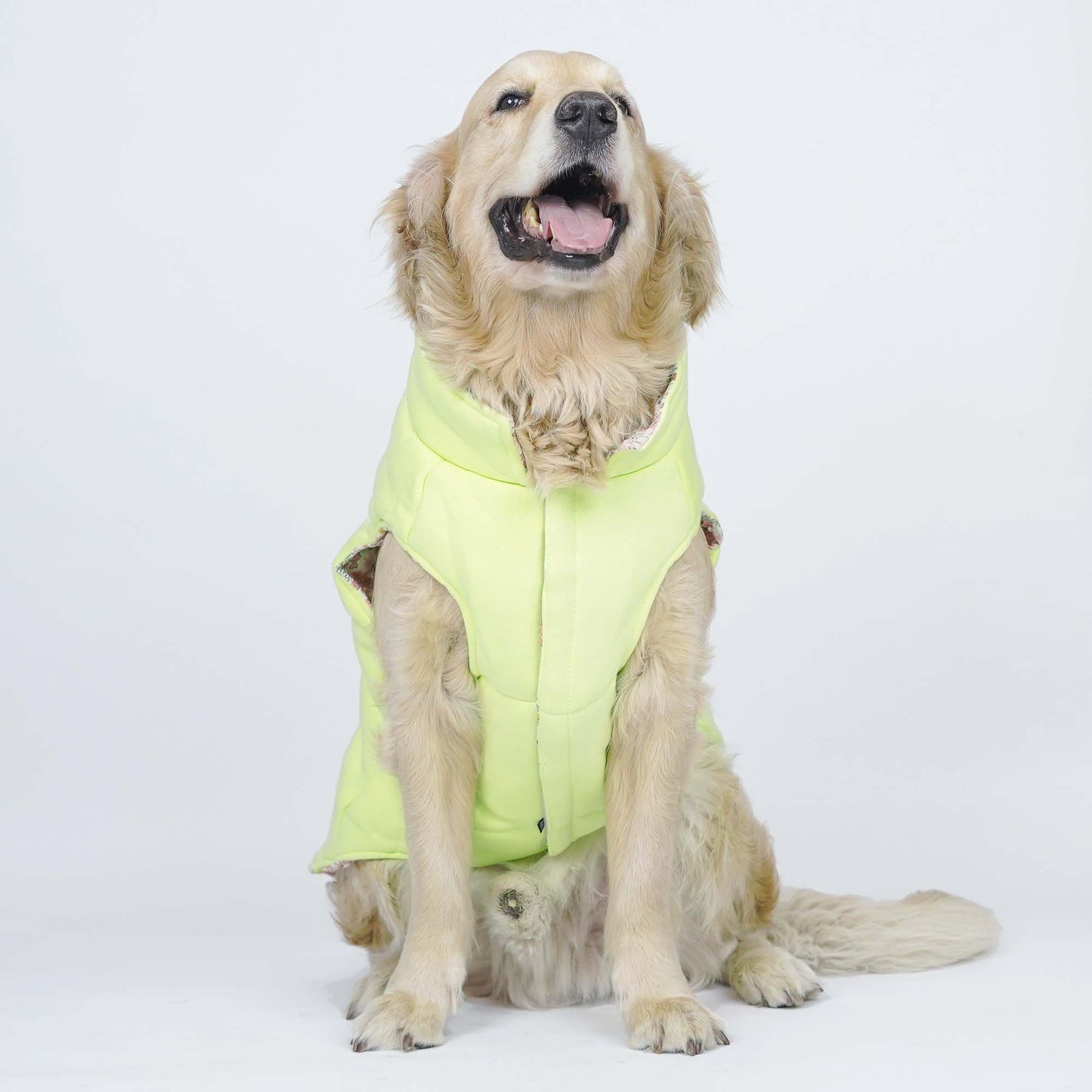 Superstar Reversible - Floral Dog Jacket