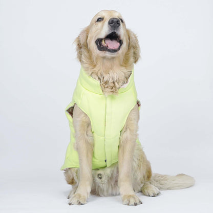 Superstar Reversible - Floral Dog Jacket