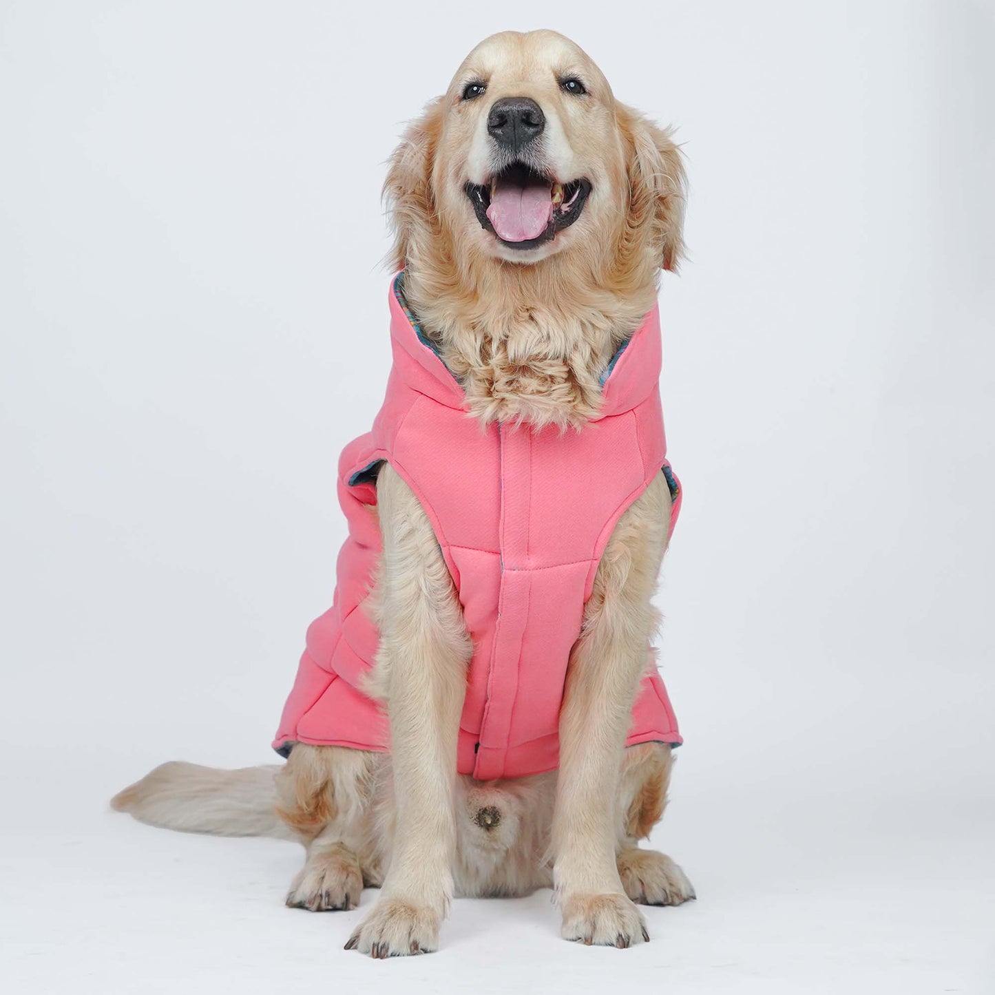 Superstar Reversible - Checks Dog Jacket