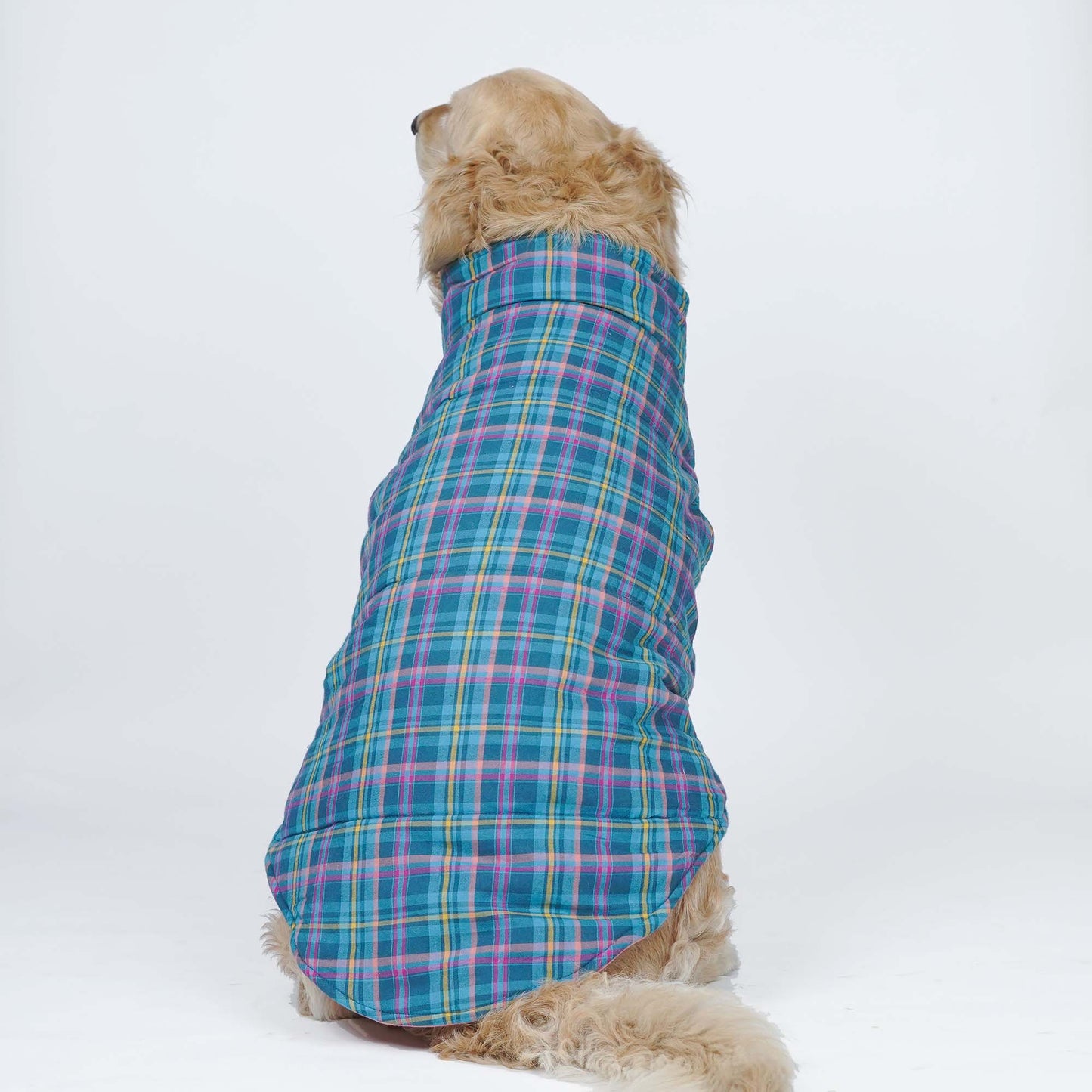Superstar Reversible - Checks Dog Jacket