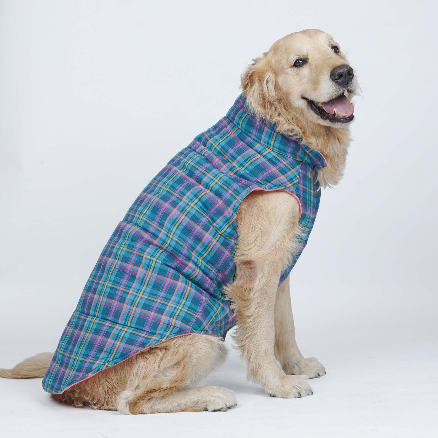 Superstar Reversible - Checks Dog Jacket