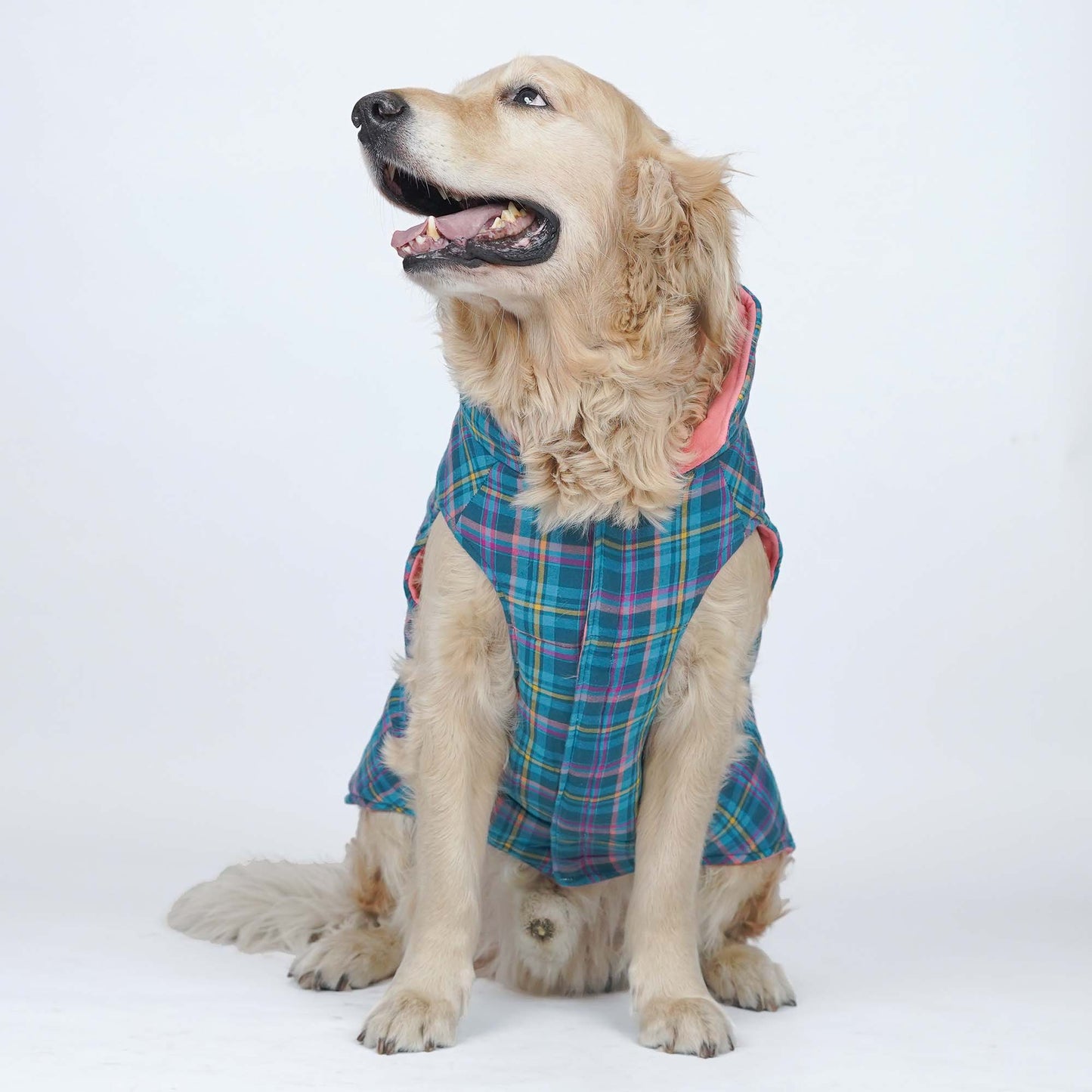 Superstar Reversible - Checks Dog Jacket