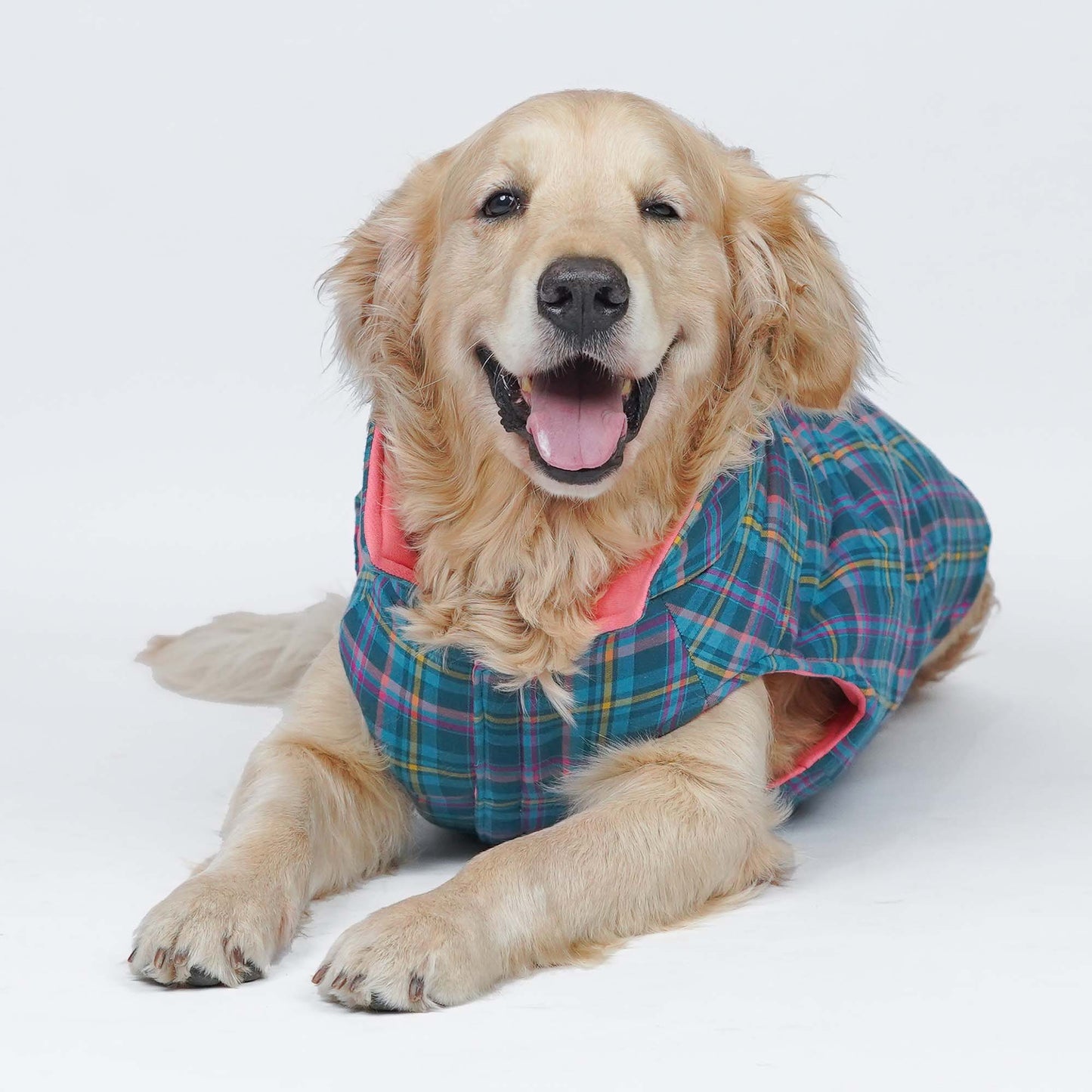 Superstar Reversible - Checks Dog Jacket