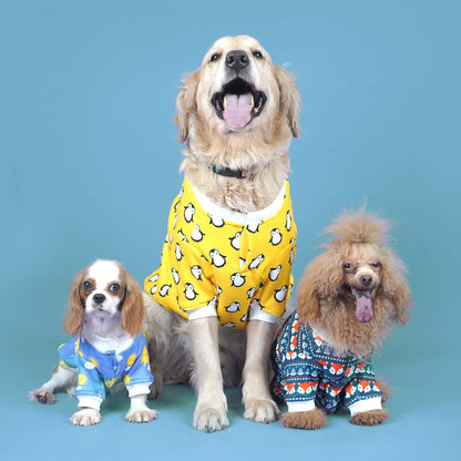 Sunlight Dog Sweatshirt