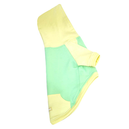 Icy Peak SweatShirt -Mint