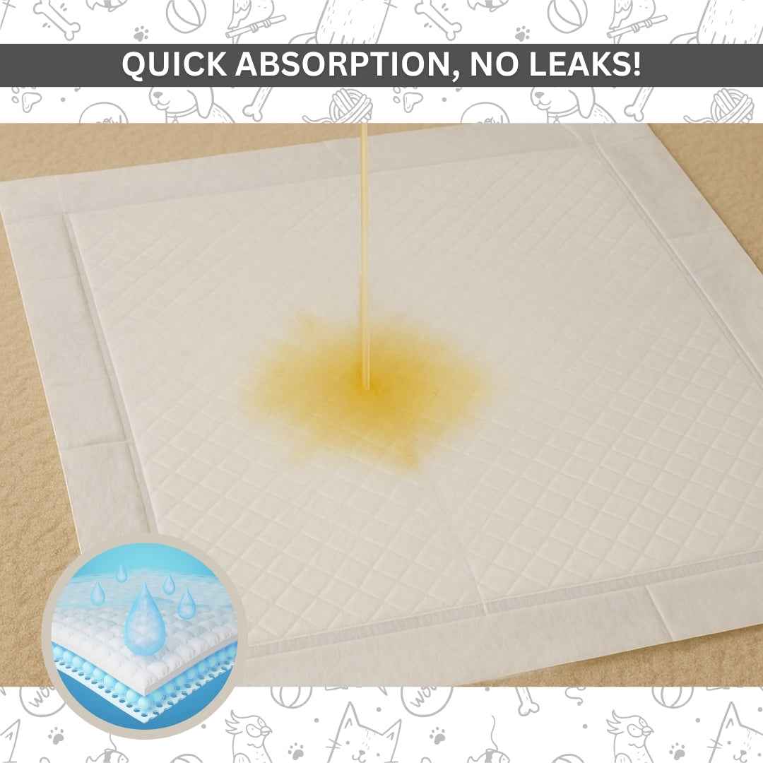 Training Pee Pads, Activated Carbon, Medium (45x60 CMS)