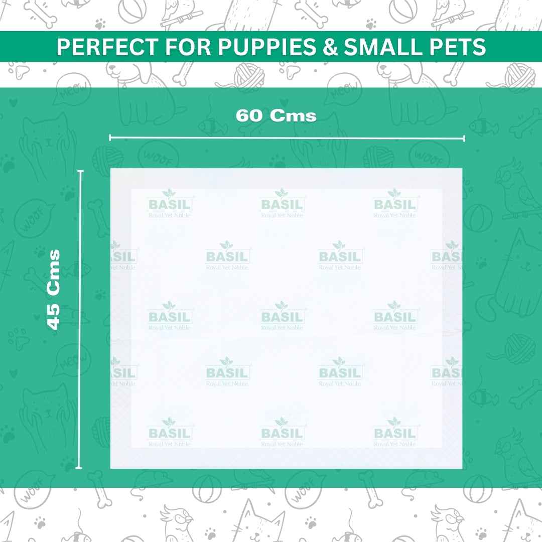 Training Pee Pads, Medium (45x60 CMS)