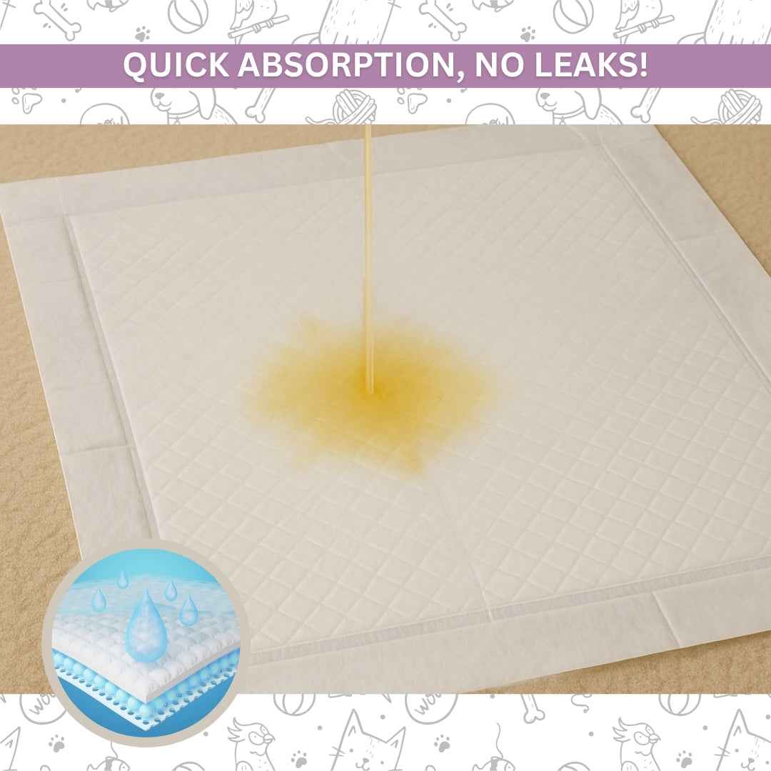 Training Pee Pads, Extra Large (60x90 CMS)