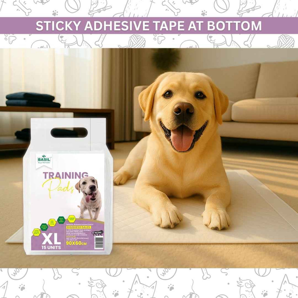 Training Pee Pads, Extra Large (60x90 CMS)