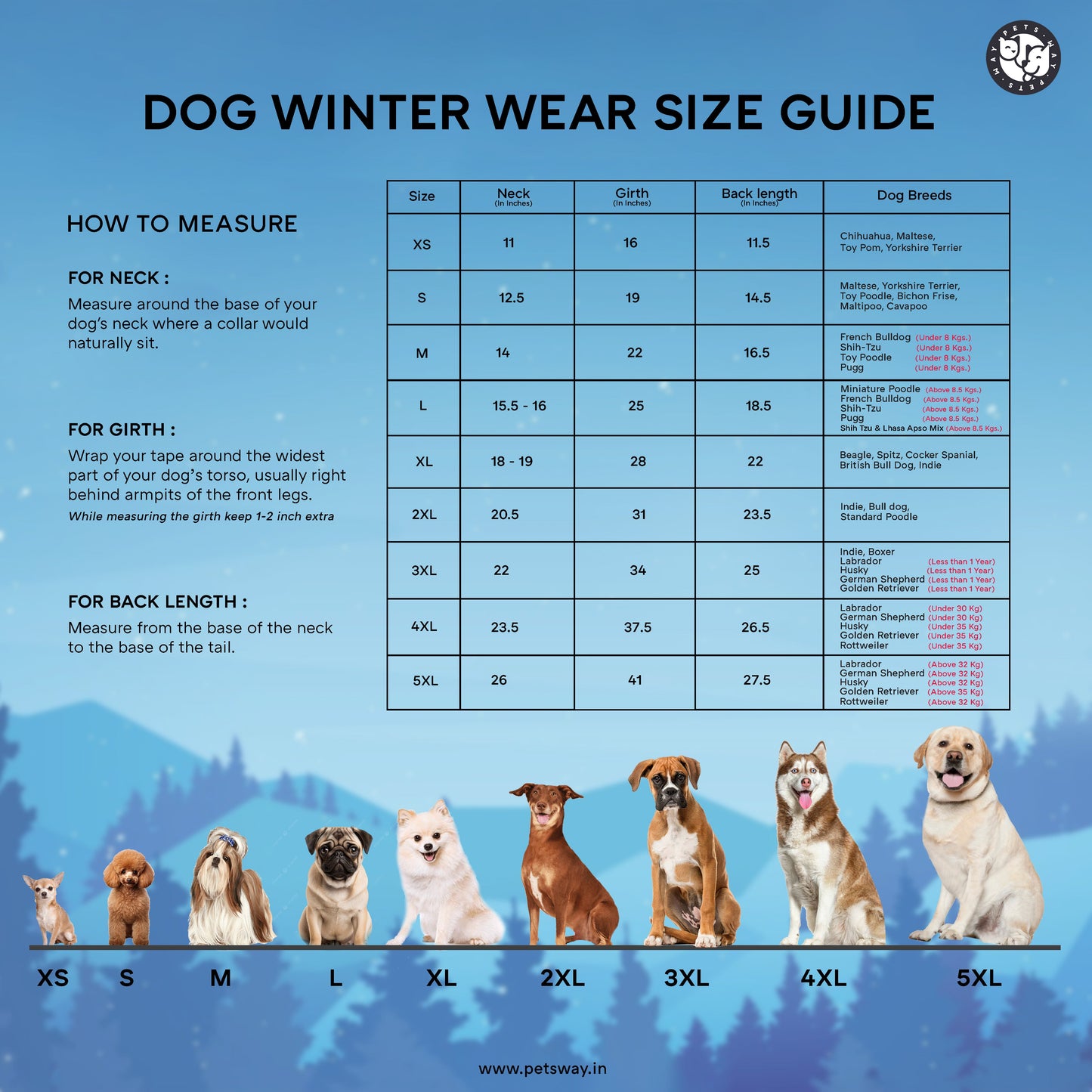 Frost- Grey Dog Jacket