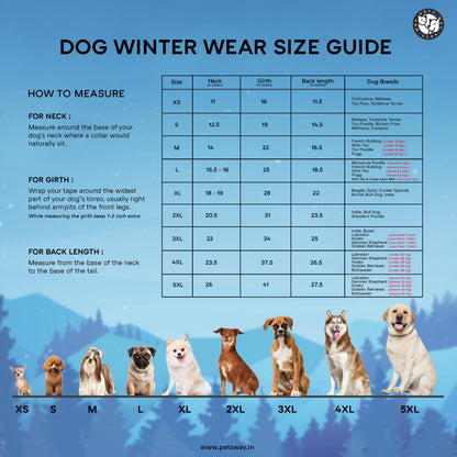 Frost- Grey Dog Jacket