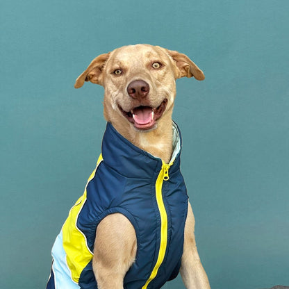 Winterberry Snow Flake Combo