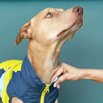 Winterberry Snow Flake Combo