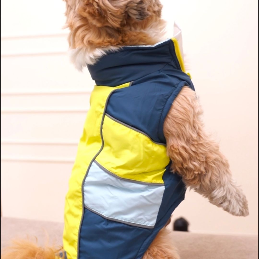 Winterberry - Airforce Dog Jacket