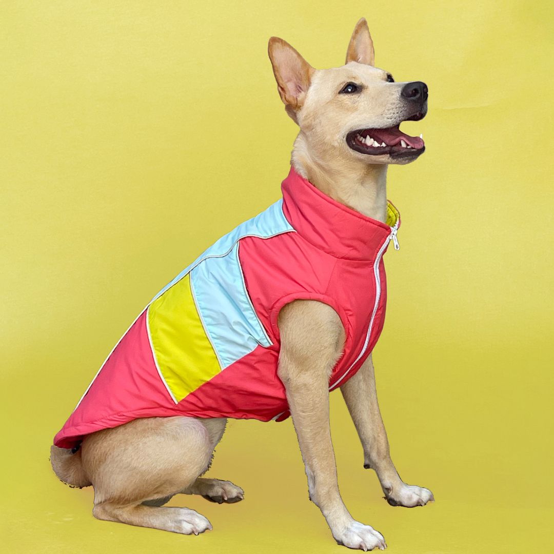 Winterberry Ice Fall Combo