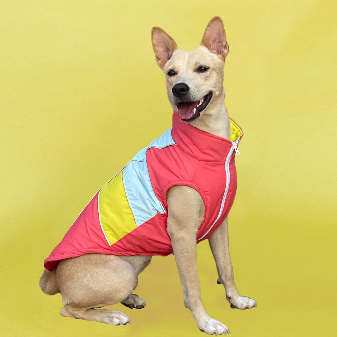 Winterberry Ice Fall Combo