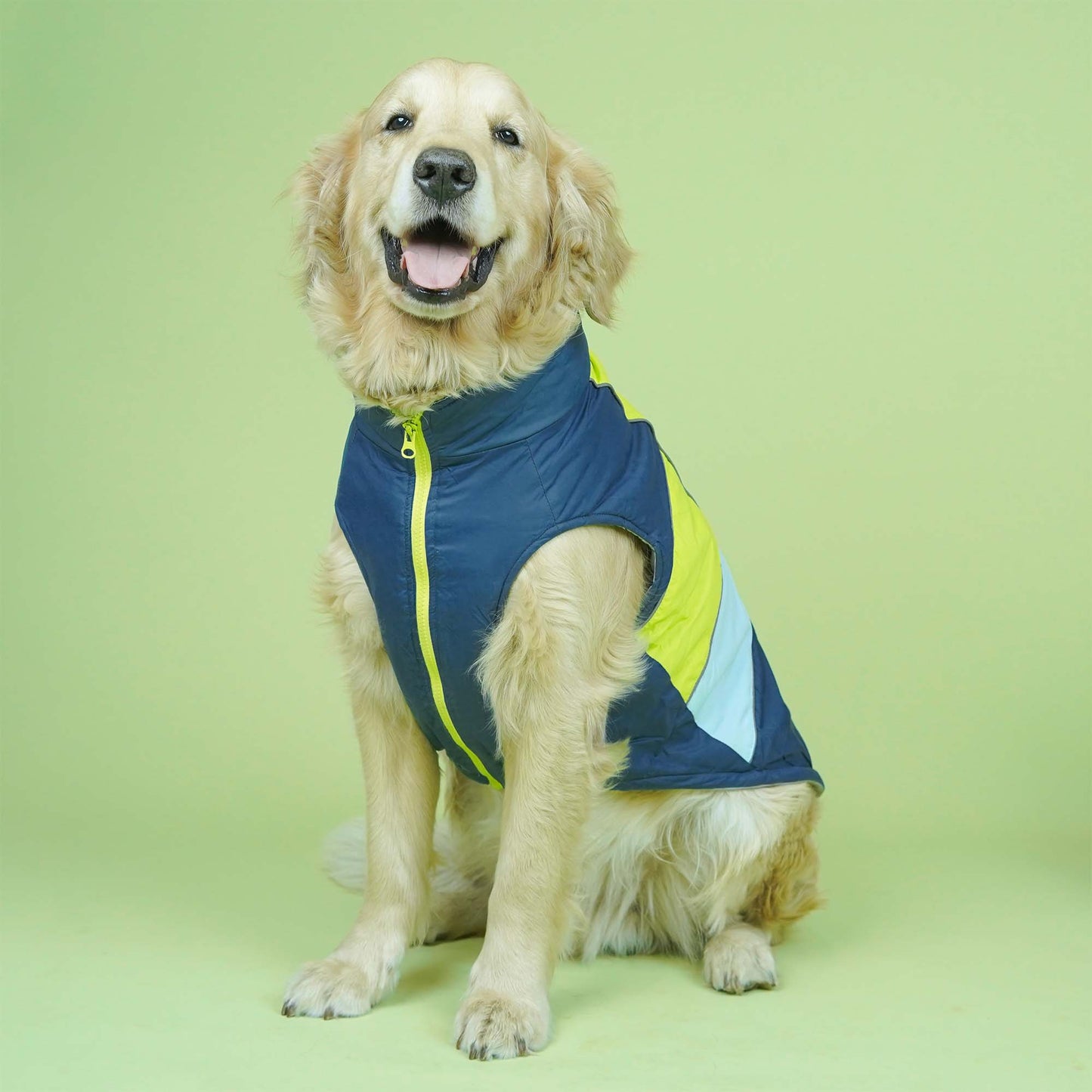 Winterberry - Airforce Dog Jacket