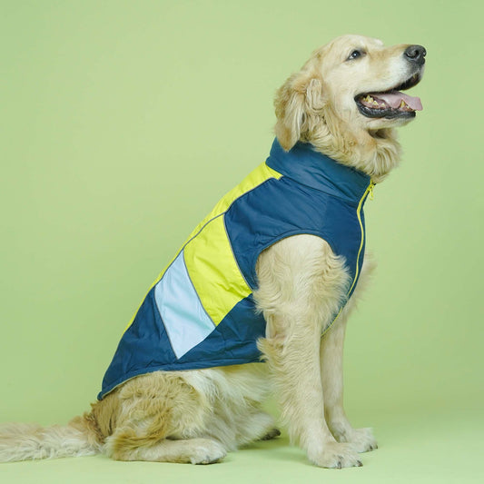 Winterberry - Airforce Dog Jacket