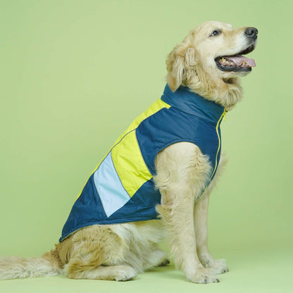 Winterberry Snow Flake Combo