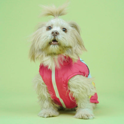Winterberry - Coral Dog Jacket