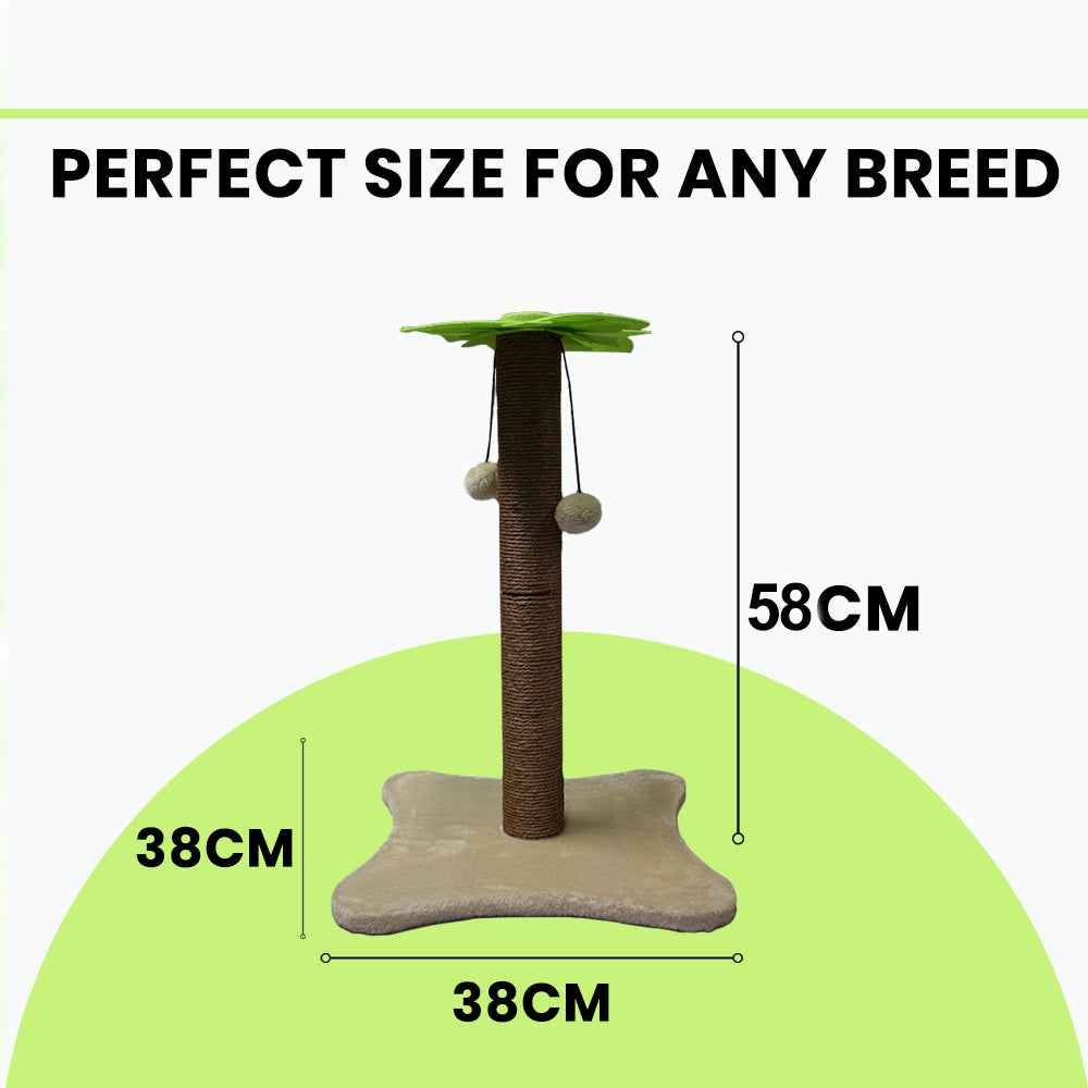 BASIL Cat Coconut Tree Scratcher with Dangler
