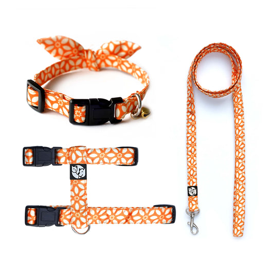 Rangoli Puppy & Cat Collar Leash Harness Set