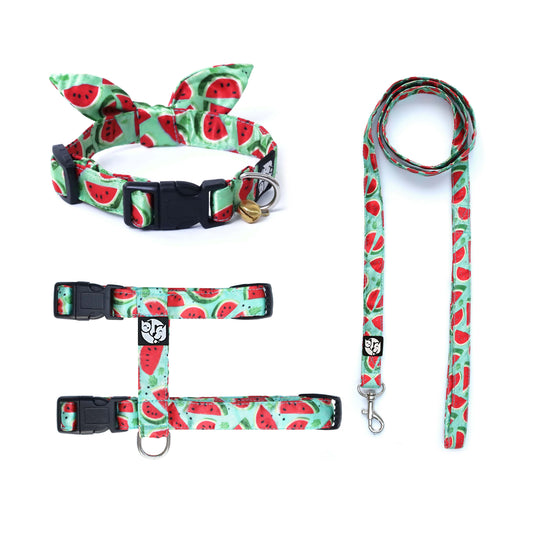 Watermelon Puppy & Cat Collar Leash Harness Set