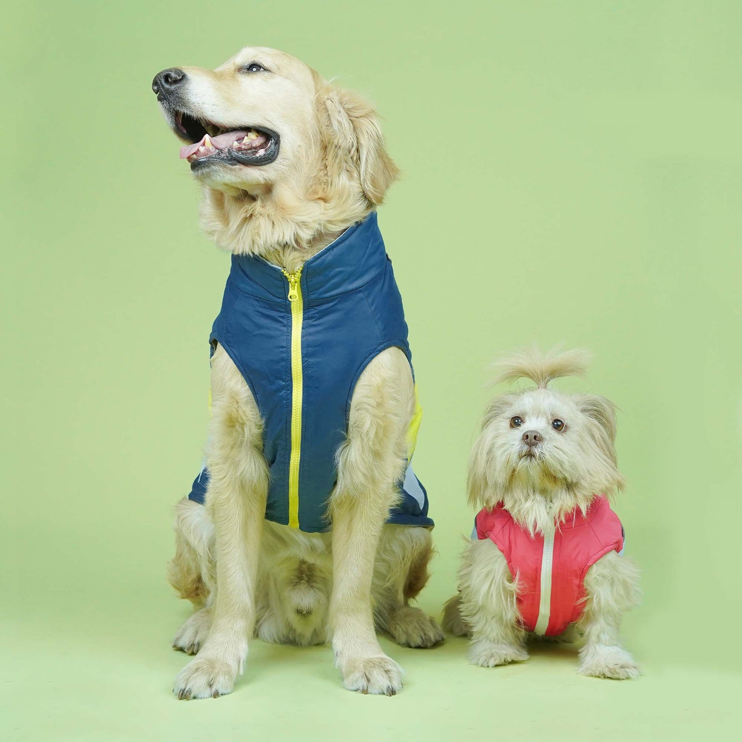 Winterberry - Airforce Dog Jacket