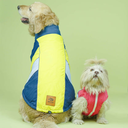 Winterberry - Airforce Dog Jacket