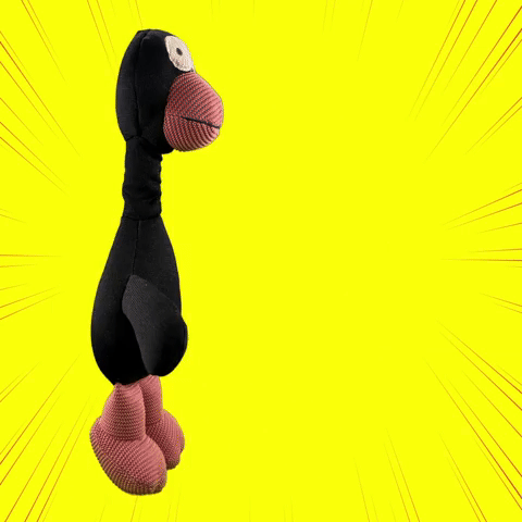 Petblush Doodle The Duck Plush Toy for Dogs