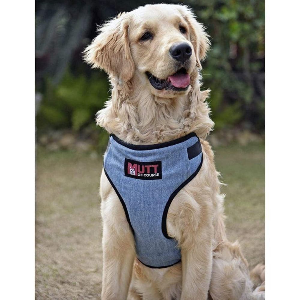 Mutt of Course Denim Harness for Dogs (Light Blue)