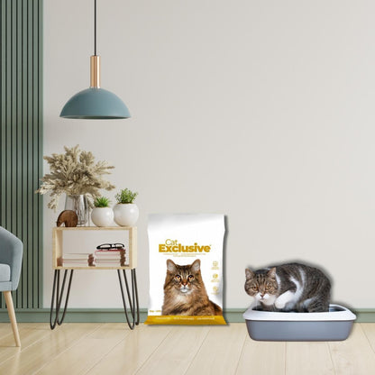 Intersand Cat Exclusive Scoopable Clumping Cat Litter - 10 kg