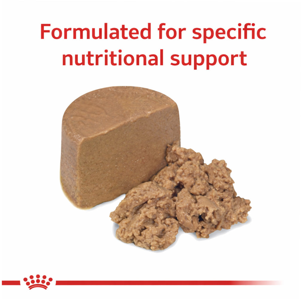 Royal Canin Veterinary Diet Gastrointestinal Puppy Food Can Wet Food