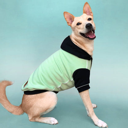 Winterberry Snow Flake Combo