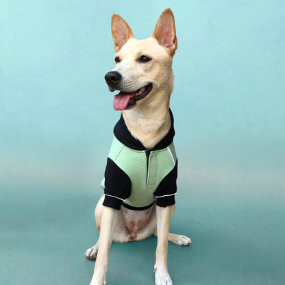 Winterberry Snow Flake Combo