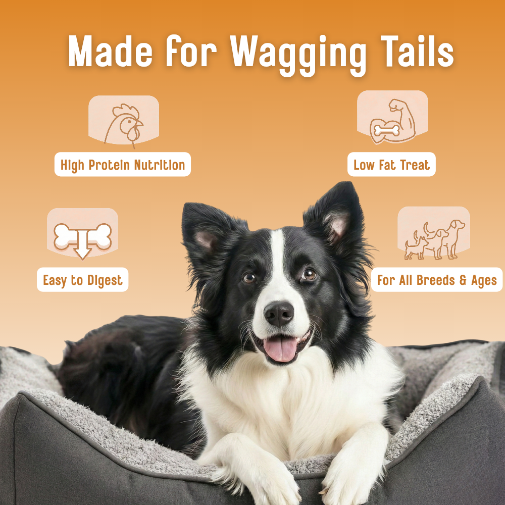 Tender Bites Basil Classic Chicken Slices for Dogs | Natural Soft Treats | High Protein