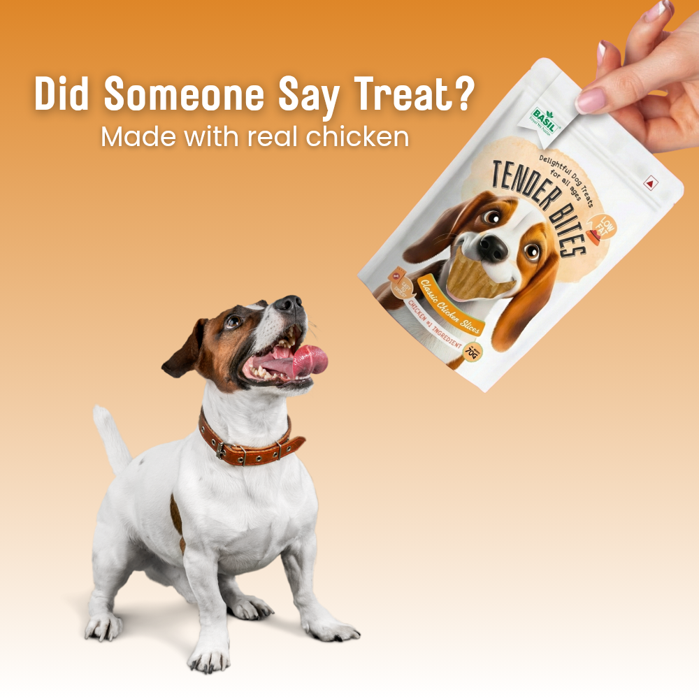 Tender Bites Basil Classic Chicken Slices for Dogs | Natural Soft Treats | High Protein