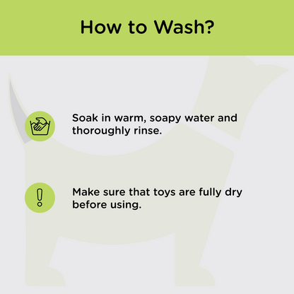 Basil Teething Ring Chew Toy for Dogs | For Medium Chewers (Orange)